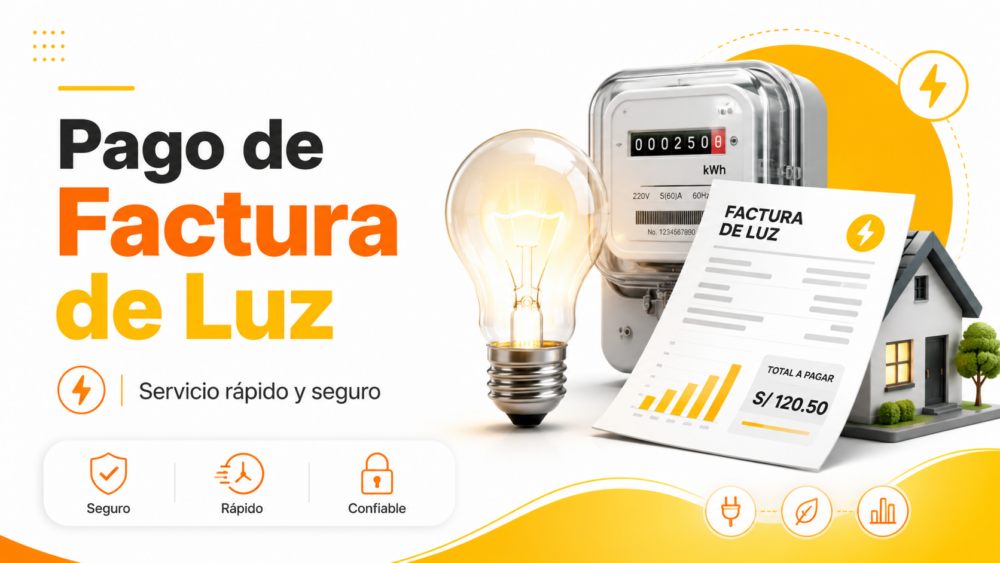 LUZ ECETRICA